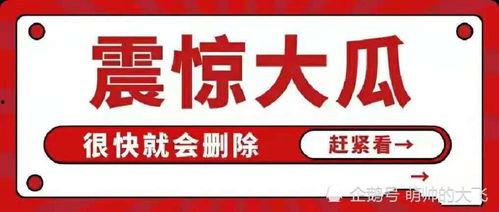 娱乐八卦吃瓜网站下载安装,热门八卦网站下载安装全攻略
